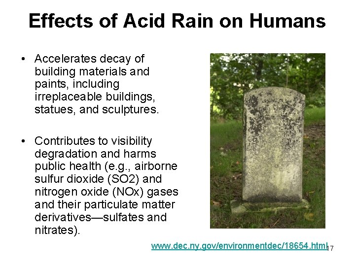 Effects of Acid Rain on Humans • Accelerates decay of building materials and paints,