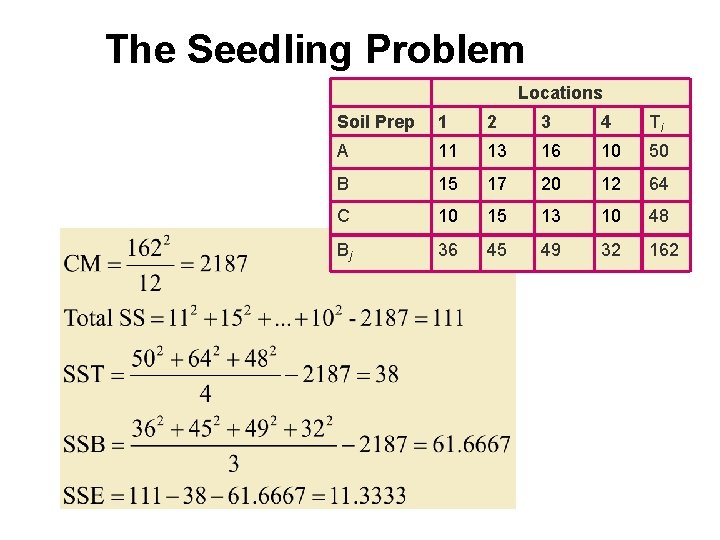 The Seedling Problem Locations Soil Prep 1 2 3 4 Ti A 11 13