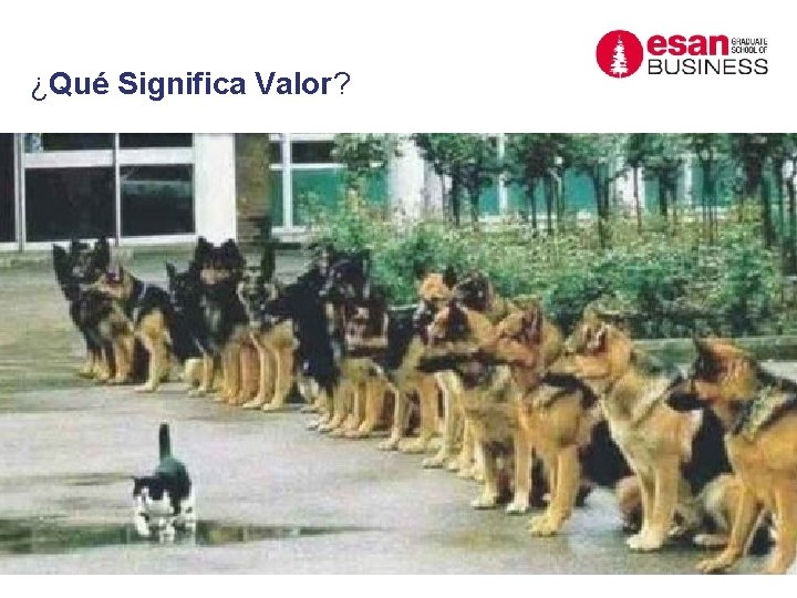 ¿Qué Significa Valor? 