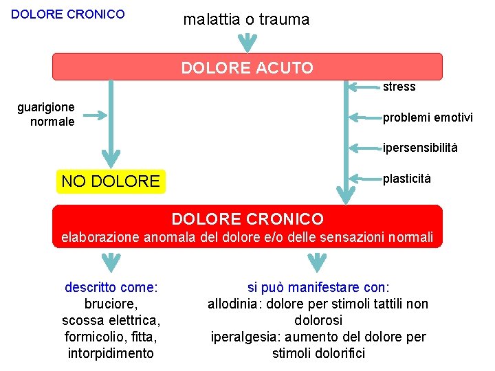 DOLORE CRONICO malattia o trauma DOLORE ACUTO stress guarigione normale problemi emotivi ipersensibilità plasticità