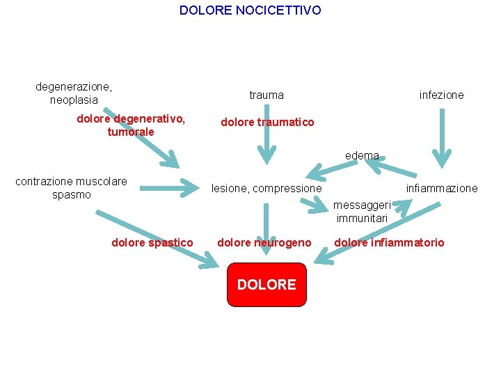 DOLORE NOCICETTIVO degenerazione, neoplasia dolore degenerativo, tumorale trauma infezione dolore traumatico edema contrazione muscolare