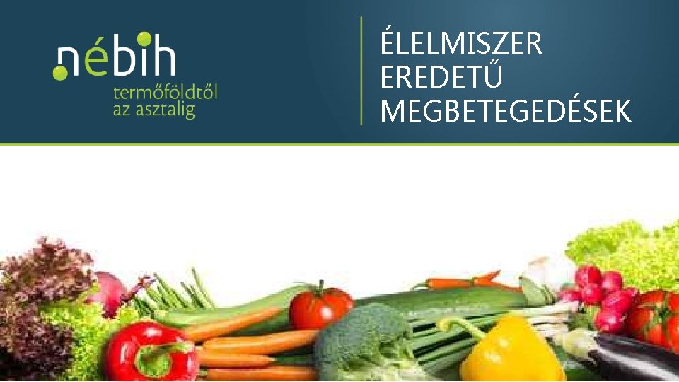 ÉLELMISZER EREDETŰ MEGBETEGEDÉSEK ÉLELMISZER EREDETŰ MEGBETEGEDÉSEK