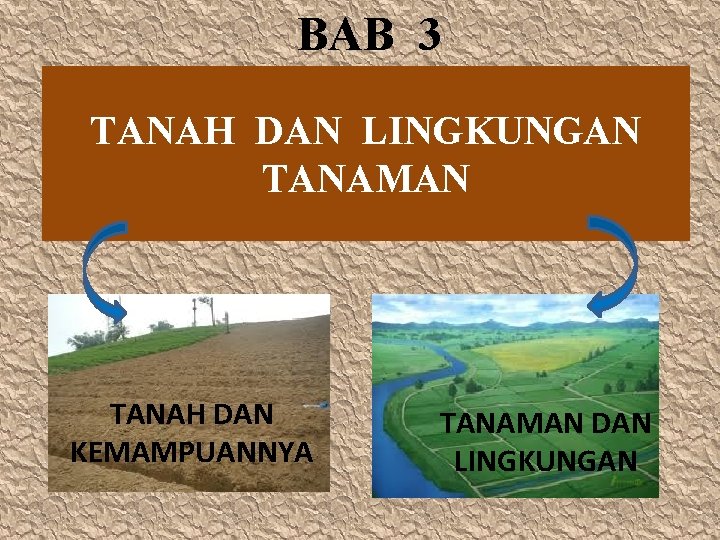 BAB 3 TANAH DAN LINGKUNGAN TANAMAN TANAH DAN KEMAMPUANNYA TANAMAN DAN LINGKUNGAN 