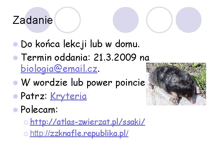 Zadanie l Do końca lekcji lub w domu. l Termin oddania: 21. 3. 2009