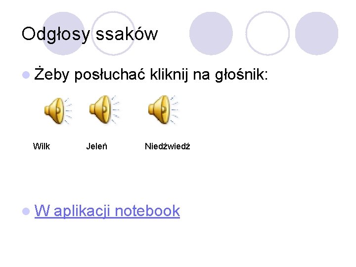 Odgłosy ssaków l Żeby Wilk l. W posłuchać kliknij na głośnik: Jeleń Niedźwiedź aplikacji