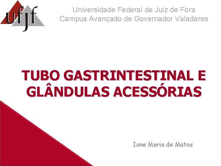 Universidade Federal de Juiz de Fora Campus Avançado de Governador Valadares TUBO GASTRINTESTINAL E