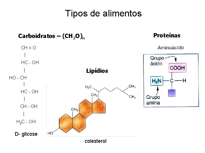 Tipos de alimentos Proteínas Carboidratos – (CH 2 O)n CH = O HC -