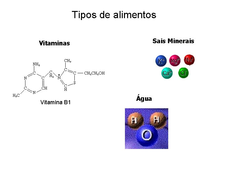 Tipos de alimentos Sais Minerais Vitamina B 1 Água 