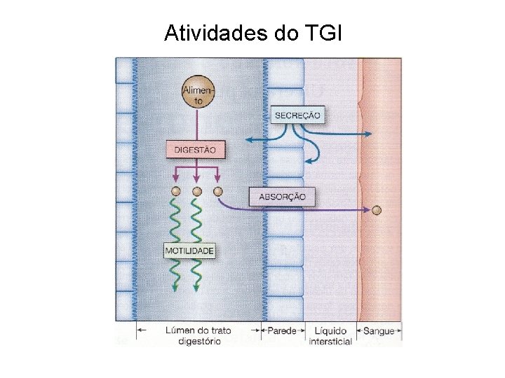 Atividades do TGI 