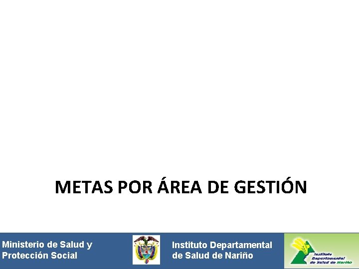 METAS POR ÁREA DE GESTIÓN Ministeriode de. Saludyy Protección Social. Instituto Departamental Protección de