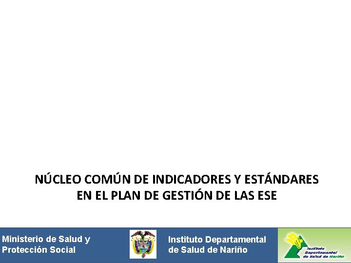 NÚCLEO COMÚN DE INDICADORES Y ESTÁNDARES EN EL PLAN DE GESTIÓN DE LAS ESE