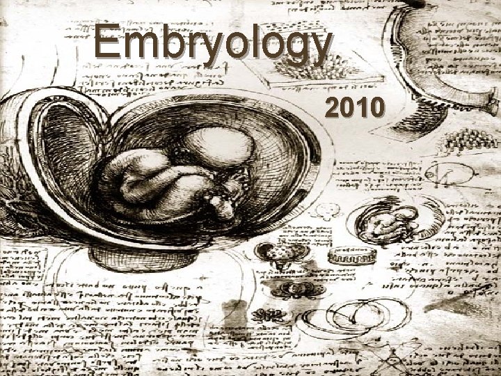 Embryology 2010 