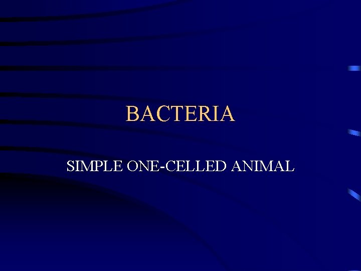 BACTERIA SIMPLE ONE-CELLED ANIMAL 