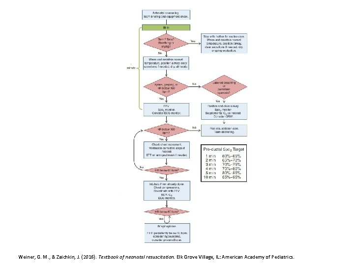 Clinical Changes Weiner, G. M. , & Zaichkin, J. (2016). Textbook of neonatal resuscitation.