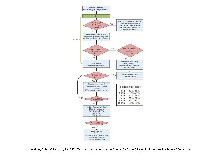 Clinical Changes Weiner, G. M. , & Zaichkin, J. (2016). Textbook of neonatal resuscitation.