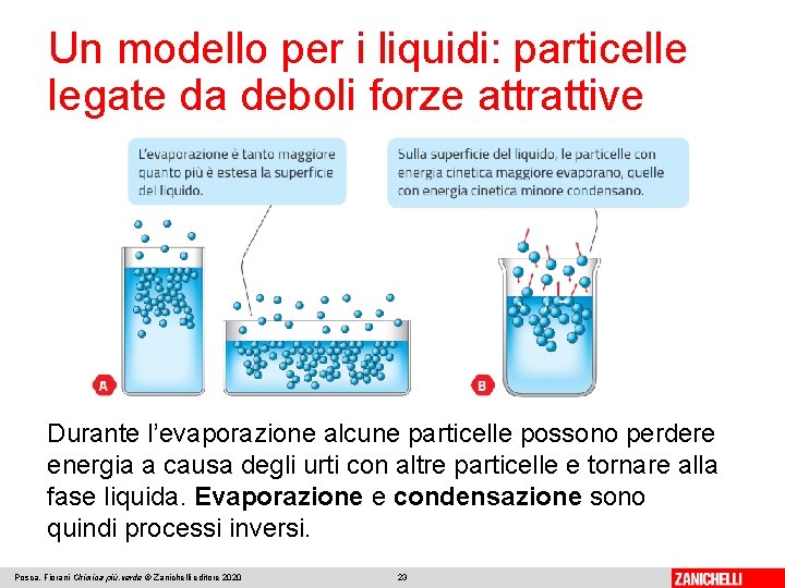 Un modello per i liquidi: particelle legate da deboli forze attrattive Durante l’evaporazione alcune