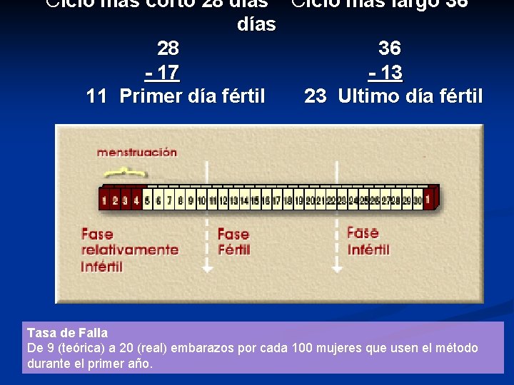 Ciclo más corto 28 días Ciclo más largo 36 días 28 36 - 17