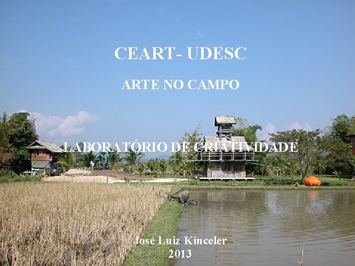 UDESC – CEART – DAP / PPGAV CEART- UDESC ARTE NO CAMPO ARTE RELACIONAL