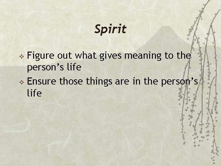 Spirit Figure out what gives meaning to the person’s life v Ensure those things