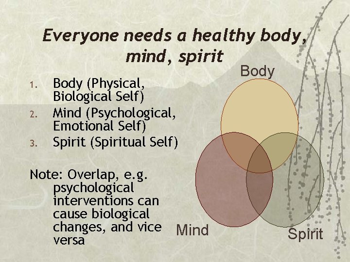 Everyone needs a healthy body, mind, spirit 1. 2. 3. Body (Physical, Biological Self)