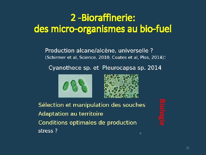 2 -Bioraffinerie: des micro-organismes au bio-fuel Biologie 21 