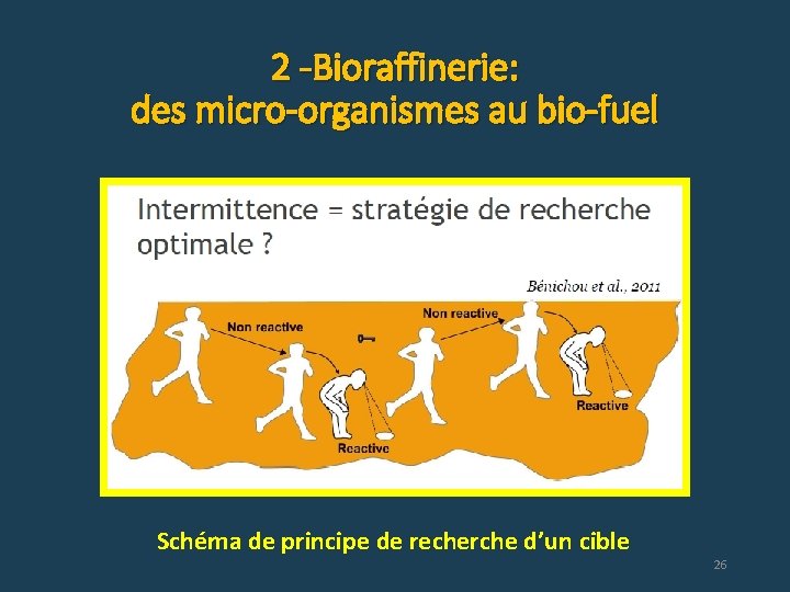 2 -Bioraffinerie: des micro-organismes au bio-fuel Schéma de principe de recherche d’un cible 26