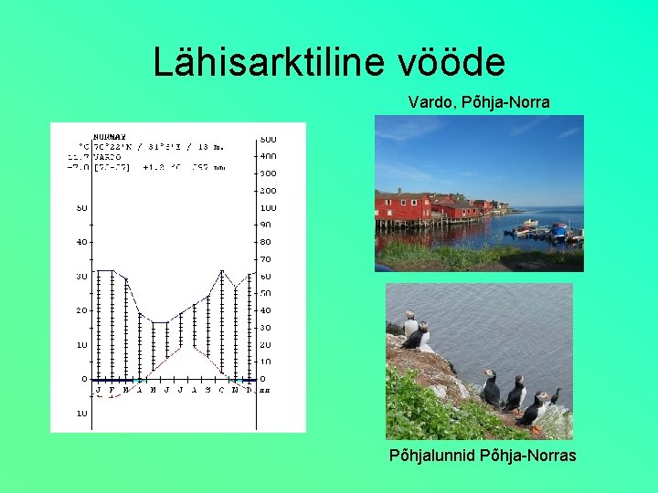 Lähisarktiline vööde Vardo, Põhja-Norra Põhjalunnid Põhja-Norras 