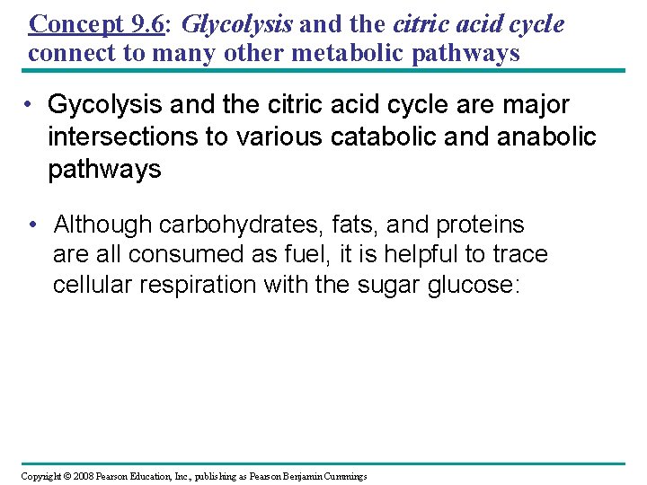 Concept 9. 6: Glycolysis and the citric acid cycle connect to many other metabolic