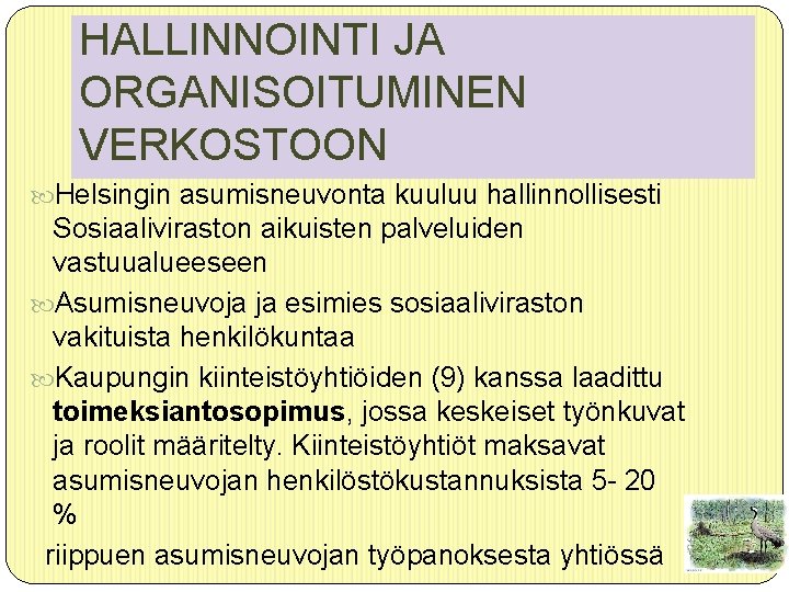 HALLINNOINTI JA ORGANISOITUMINEN VERKOSTOON Helsingin asumisneuvonta kuuluu hallinnollisesti Sosiaaliviraston aikuisten palveluiden vastuualueeseen Asumisneuvoja ja