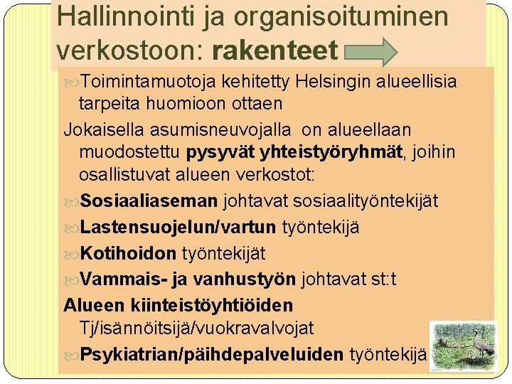 Hallinnointi ja organisoituminen verkostoon: rakenteet Toimintamuotoja kehitetty Helsingin alueellisia tarpeita huomioon ottaen Jokaisella asumisneuvojalla