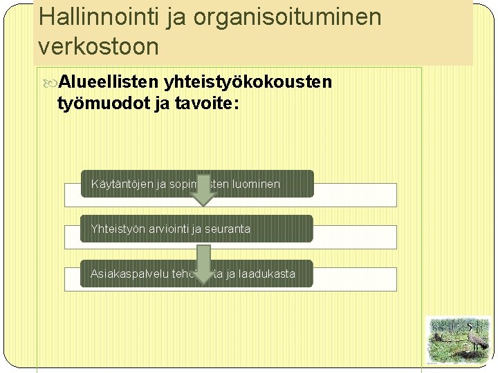 Hallinnointi ja organisoituminen verkostoon Alueellisten yhteistyökokousten työmuodot ja tavoite: Käytäntöjen ja sopimusten luominen Yhteistyön