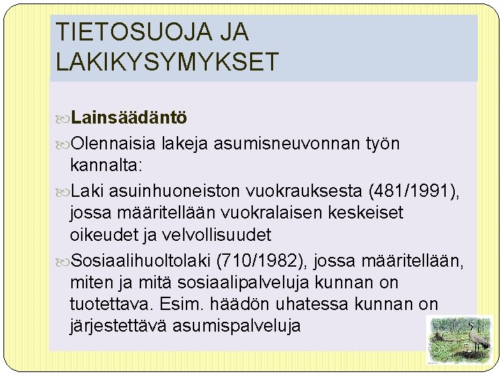 TIETOSUOJA JA LAKIKYSYMYKSET Lainsäädäntö Olennaisia lakeja asumisneuvonnan työn kannalta: Laki asuinhuoneiston vuokrauksesta (481/1991), jossa