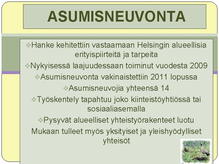  ASUMISNEUVONTA v. Hanke kehitettiin vastaamaan Helsingin alueellisia erityispiirteitä ja tarpeita v. Nykyisessä laajuudessaan