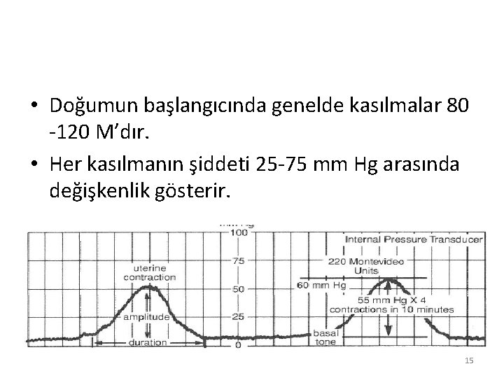  • Doğumun başlangıcında genelde kasılmalar 80 -120 M’dır. • Her kasılmanın şiddeti 25