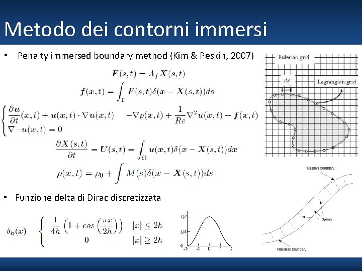 Metodo dei contorni immersi • Penalty immersed boundary method (Kim & Peskin, 2007) •