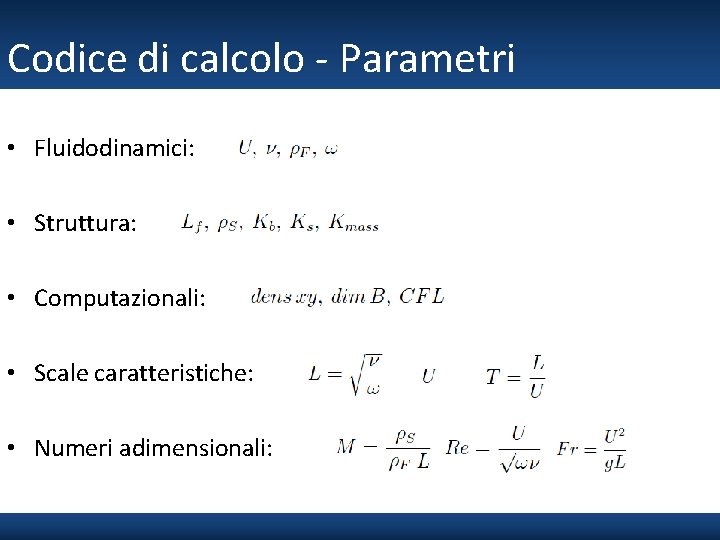 Codice di calcolo - Parametri • Fluidodinamici: • Struttura: • Computazionali: • Scale caratteristiche:
