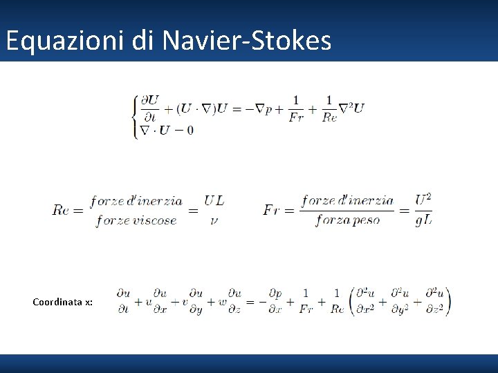 Equazioni di Navier-Stokes Coordinata x: 