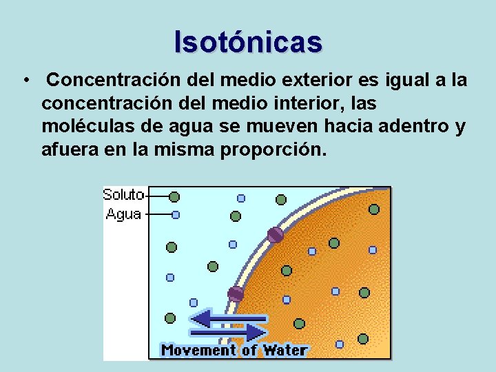 Isotónicas • Concentración del medio exterior es igual a la concentración del medio interior,