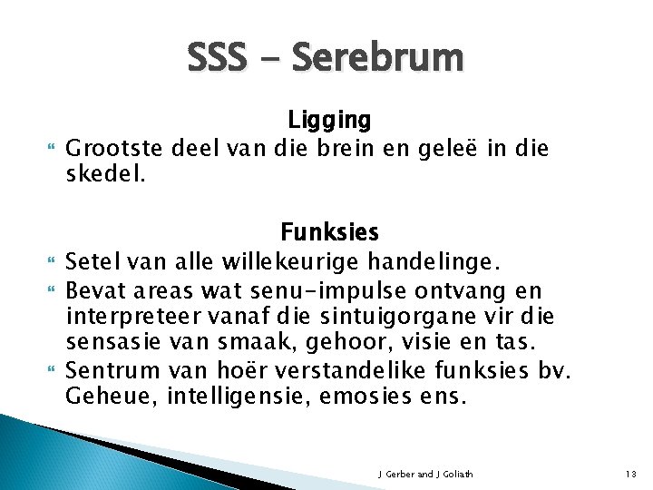 SSS - Serebrum Ligging Grootste deel van die brein en geleë in die skedel.