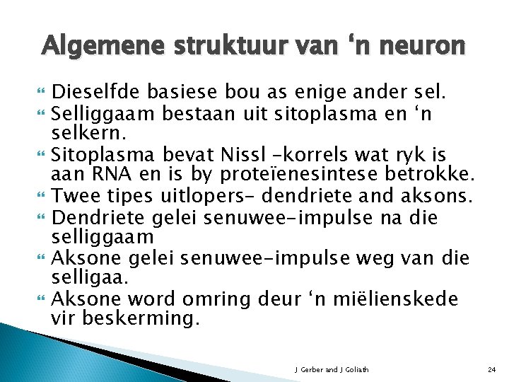 Algemene struktuur van ‘n neuron Dieselfde basiese bou as enige ander sel. Selliggaam bestaan