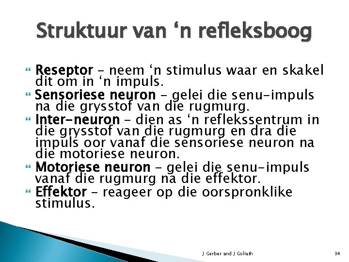 Struktuur van ‘n refleksboog Reseptor – neem ‘n stimulus waar en skakel dit om