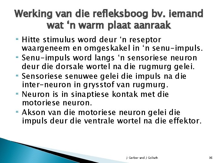 Werking van die refleksboog bv. iemand wat ‘n warm plaat aanraak Hitte stimulus word