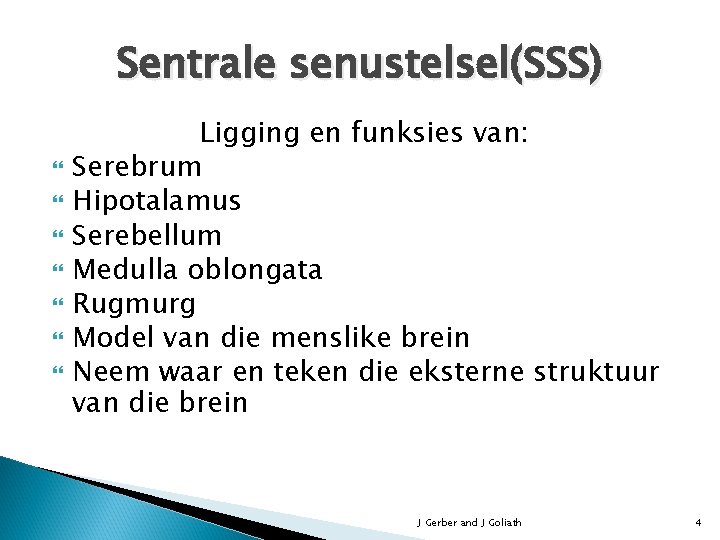 Sentrale senustelsel(SSS) Ligging en funksies van: Serebrum Hipotalamus Serebellum Medulla oblongata Rugmurg Model van