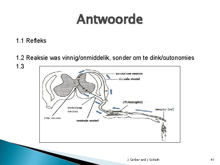 Antwoorde 1. 1 Refleks 1. 2 Reaksie was vinnig/onmiddelik, sonder om te dink/outonomies 1.