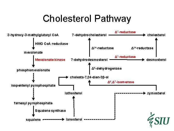 Cholesterol Pathway 3 -hydroxy-3 -methylglutaryl Co. A 7 -dehydrocholesterol Δ 7 -reductase cholesterol HMG