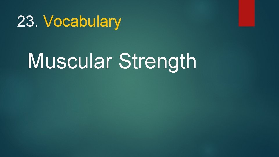 23. Vocabulary Muscular Strength 