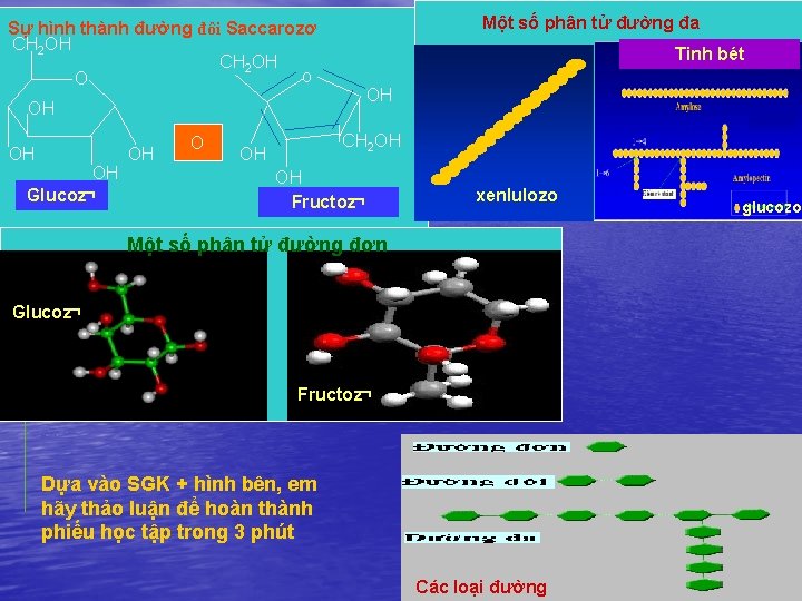 Một số phân tử đường đa Sự hình thành đường đôi Saccarozơ CH 2