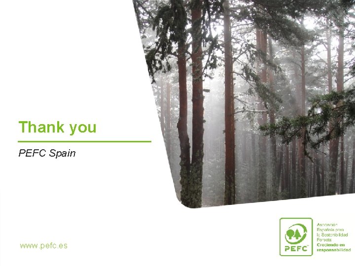 Thank you PEFC Spain www. pefc. es 