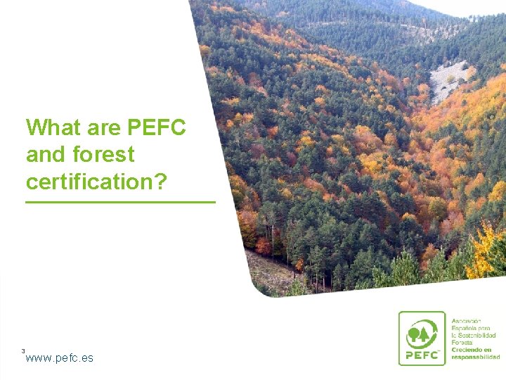 What are PEFC and forest certification? 3 www. pefc. es 