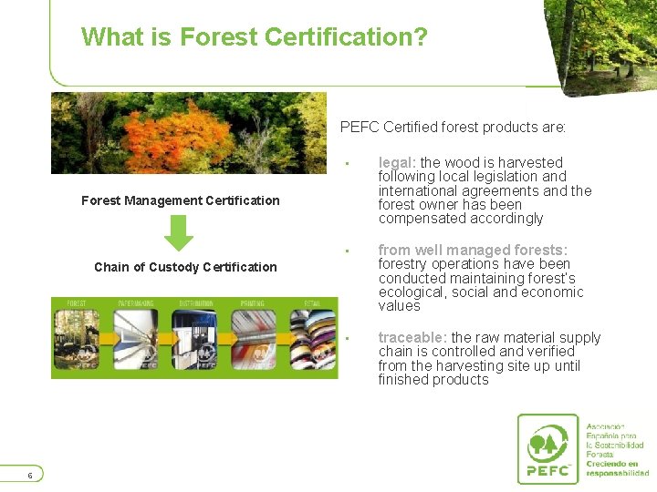 What is Forest Certification? PEFC Certified forest products are: • legal: the wood is